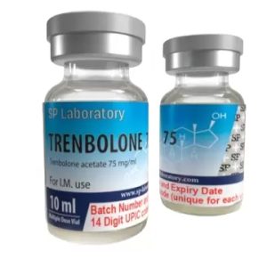 Image du produit