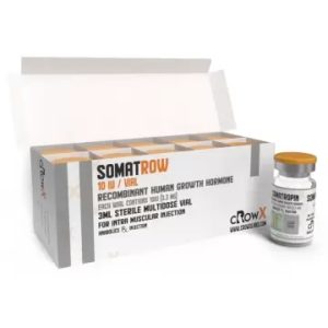 Image du produit
