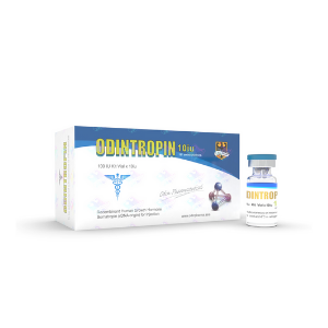 Image du produit
