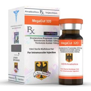 Image du produit